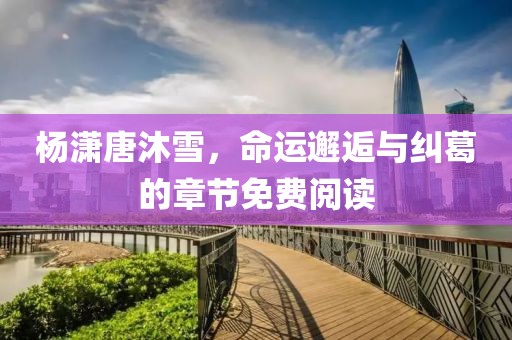 杨潇唐沐雪，命运邂逅与纠葛的章节免费阅读