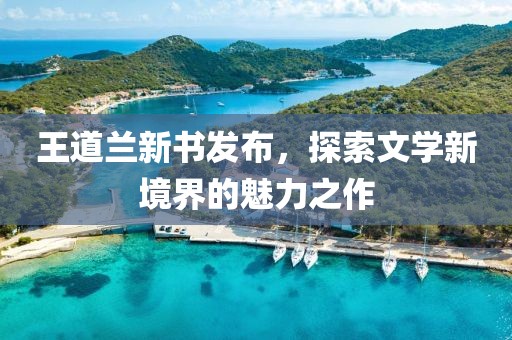 王道兰新书发布，探索文学新境界的魅力之作