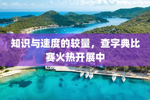 知识与速度的较量，查字典比赛火热开展中
