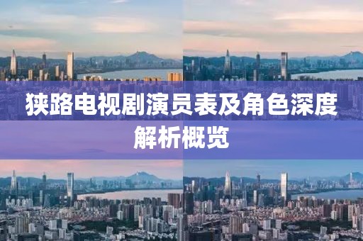 狭路电视剧演员表及角色深度解析概览