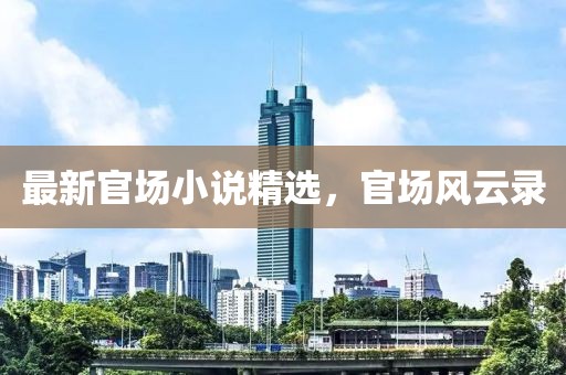 最新官场小说精选，官场风云录