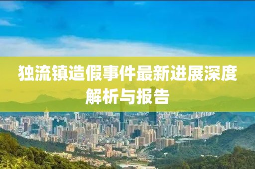 独流镇造假事件最新进展深度解析与报告
