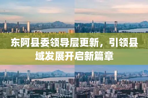 东阿县委领导层更新，引领县域发展开启新篇章