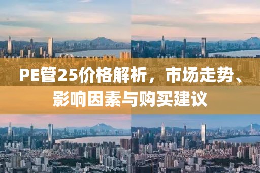 PE管25价格解析，市场走势、影响因素与购买建议
