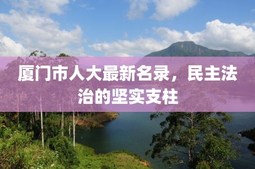 厦门市人大最新名录，民主法治的坚实支柱
