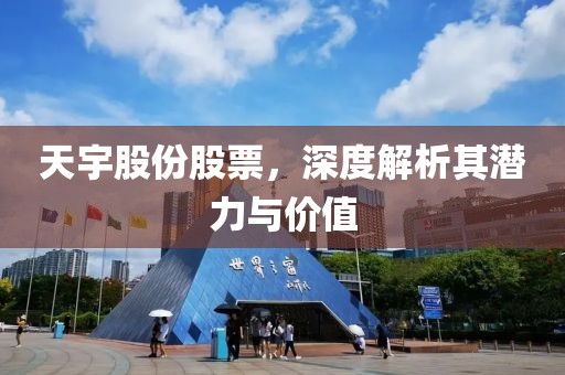 天宇股份股票，深度解析其潜力与价值