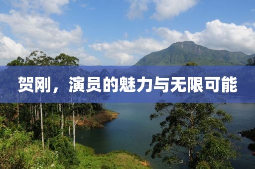 贺刚，演员的魅力与无限可能