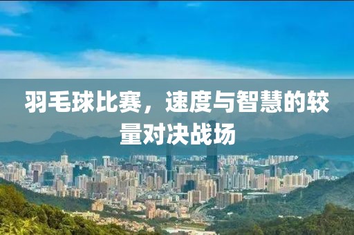 羽毛球比赛，速度与智慧的较量对决战场