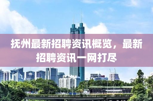 抚州最新招聘资讯概览，最新招聘资讯一网打尽