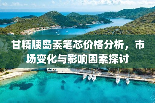 甘精胰岛素笔芯价格分析，市场变化与影响因素探讨