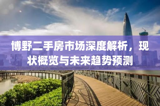博野二手房市场深度解析，现状概览与未来趋势预测