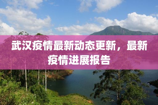 武汉疫情最新动态更新，最新疫情进展报告