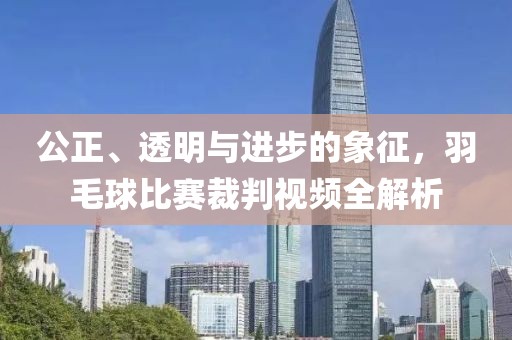 公正、透明与进步的象征，羽毛球比赛裁判视频全解析