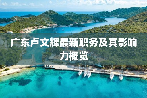 广东卢文辉最新职务及其影响力概览