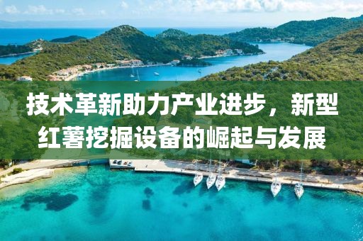 技术革新助力产业进步，新型红薯挖掘设备的崛起与发展
