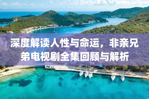 深度解读人性与命运，非亲兄弟电视剧全集回顾与解析