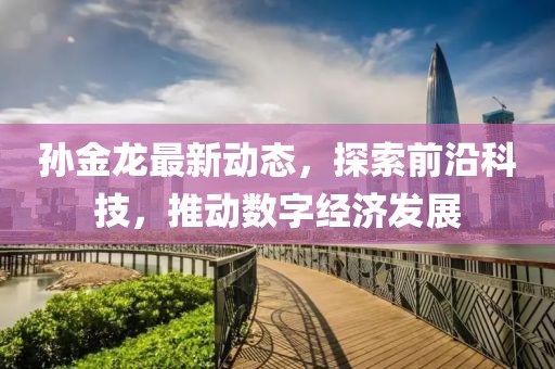 孙金龙最新动态，探索前沿科技，推动数字经济发展