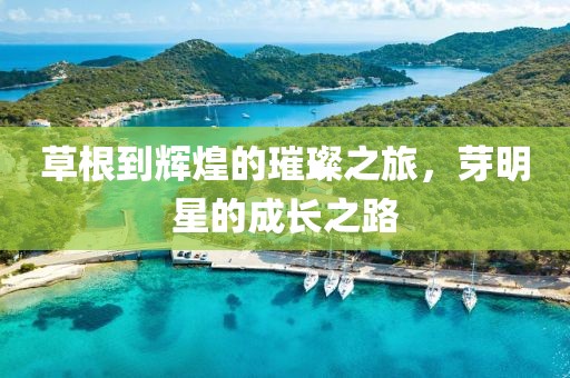 草根到辉煌的璀璨之旅，芽明星的成长之路