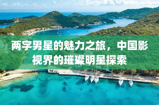 两字男星的魅力之旅，中国影视界的璀璨明星探索