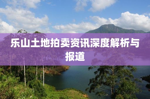 乐山土地拍卖资讯深度解析与报道