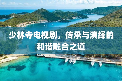 少林寺电视剧，传承与演绎的和谐融合之道