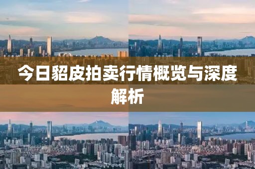今日貂皮拍卖行情概览与深度解析