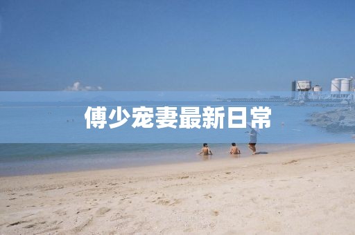 傅少宠妻最新日常