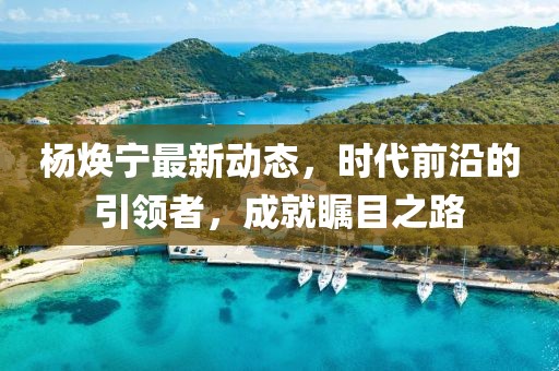 杨焕宁最新动态，时代前沿的引领者，成就瞩目之路
