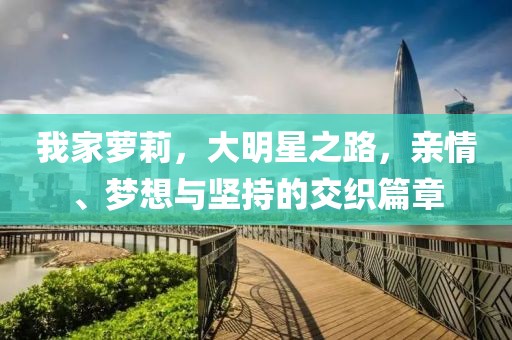 我家萝莉，大明星之路，亲情、梦想与坚持的交织篇章