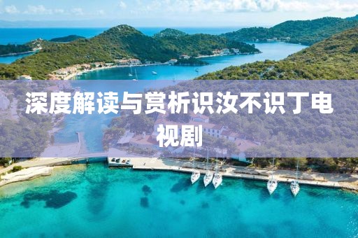 深度解读与赏析识汝不识丁电视剧