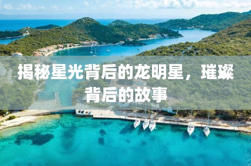 揭秘星光背后的龙明星，璀璨背后的故事