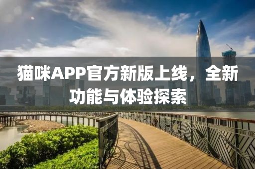 猫咪APP官方新版上线，全新功能与体验探索