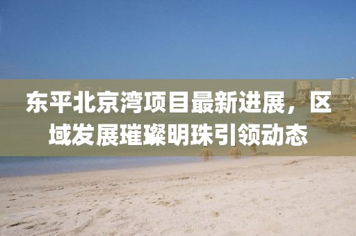 东平北京湾项目最新进展，区域发展璀璨明珠引领动态