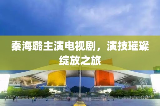 秦海璐主演电视剧，演技璀璨绽放之旅