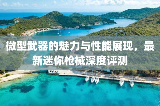 微型武器的魅力与性能展现，最新迷你枪械深度评测