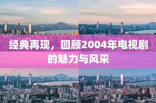 经典再现，回顾2004年电视剧的魅力与风采