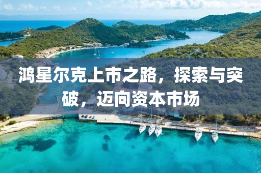 鸿星尔克上市之路，探索与突破，迈向资本市场