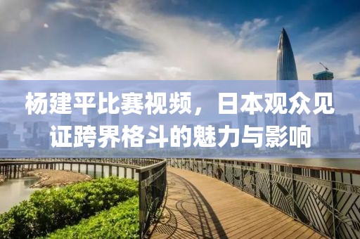 杨建平比赛视频，日本观众见证跨界格斗的魅力与影响