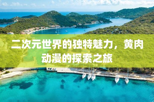 二次元世界的独特魅力，黄肉动漫的探索之旅