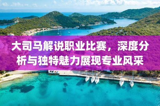 大司马解说职业比赛，深度分析与独特魅力展现专业风采