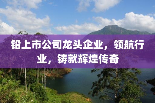铅上市公司龙头企业，领航行业，铸就辉煌传奇
