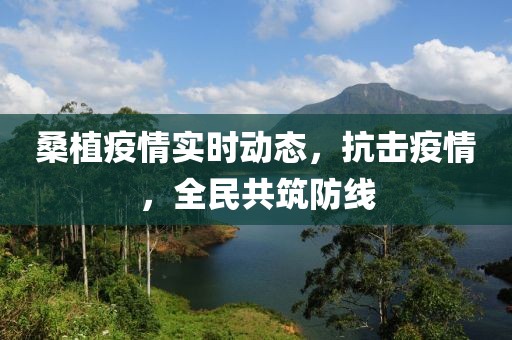 桑植疫情实时动态，抗击疫情，全民共筑防线