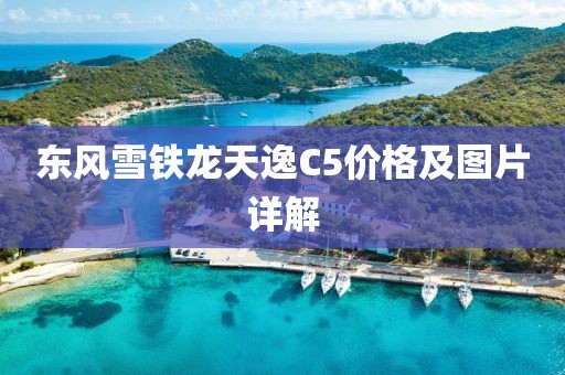 东风雪铁龙天逸C5价格及图片详解