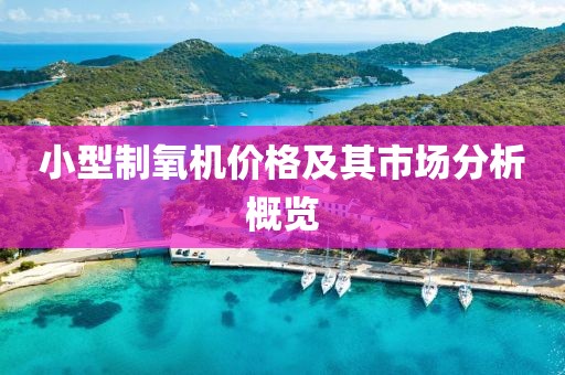 小型制氧机价格及其市场分析概览