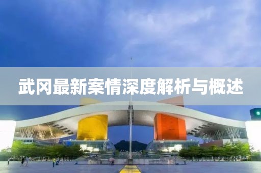 武冈最新案情深度解析与概述