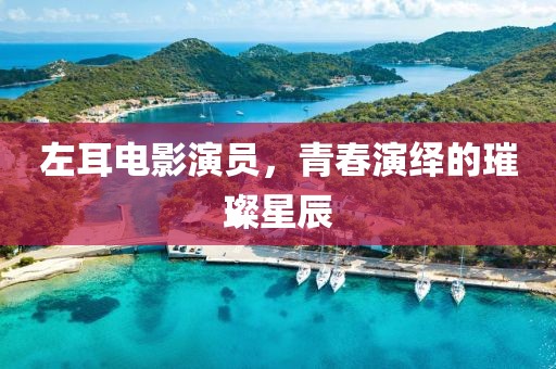 左耳电影演员，青春演绎的璀璨星辰
