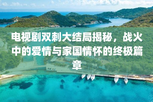 电视剧双刺大结局揭秘，战火中的爱情与家国情怀的终极篇章