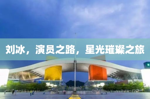 刘冰，演员之路，星光璀璨之旅