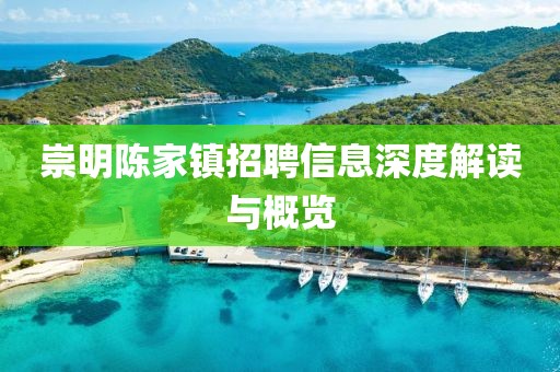 崇明陈家镇招聘信息深度解读与概览