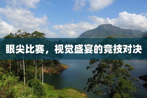 眼尖比赛，视觉盛宴的竞技对决